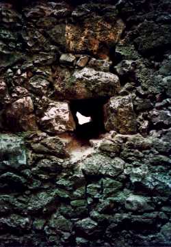 Historias con Historia  » Blog Archive   » Bathory. La Condesa Sangrienta