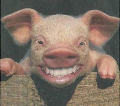 Historias con Historia  » Blog Archive   » Jamón Hispano